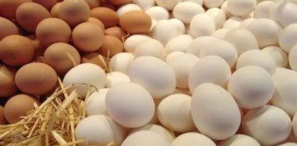 سعر كرتونة البيض بالشركات اليوم السبت 3- 6 - 2023