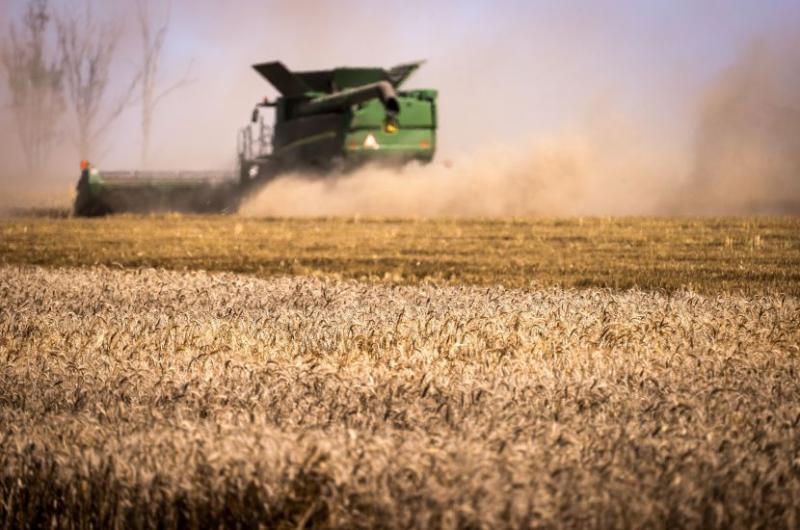 توقعات بانخفاض محصول القمح والشعير الشتوي في أستراليا بـ30%
