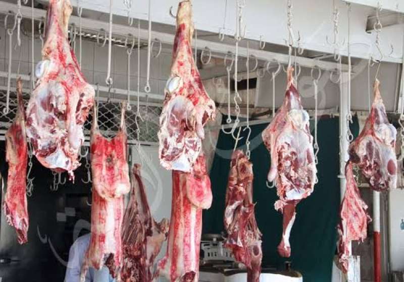 تخفيضات كبيرة على اللحوم البلدية والأضاحي بمنافذ وزارة الزراعة