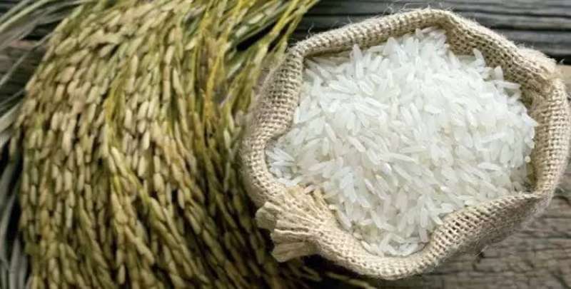 مفاجأة في أسعار الأرز اليوم الأربعاء 12 يوليو