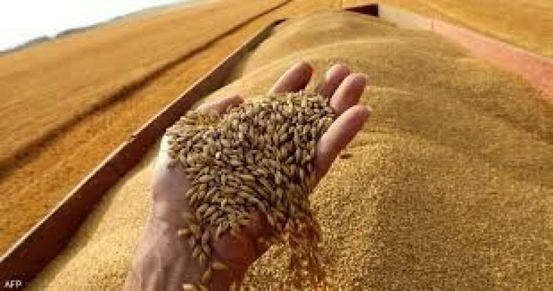 أوكرانيا تحصد 2.2 مليون طن من الحبوب بالموسم الحالي