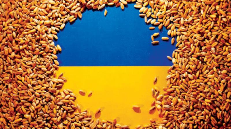 اتحاد تجار الحبوب الأوكراني