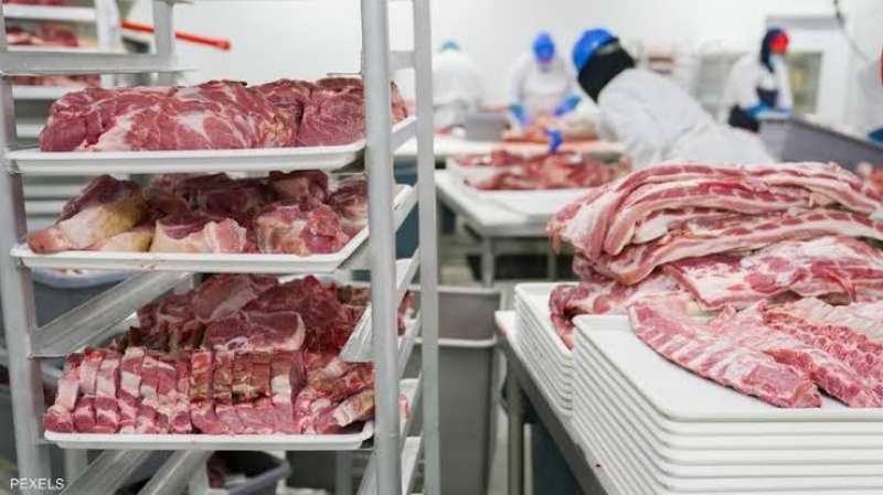 شعبة القصابين تكشف أسباب تراجع أسعار اللحوم