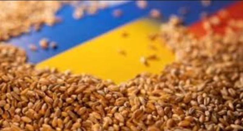 الزراعة الاوكرانية تصدر 3.12 مليون طن من الحبوب حتى الآن بموسم 2023