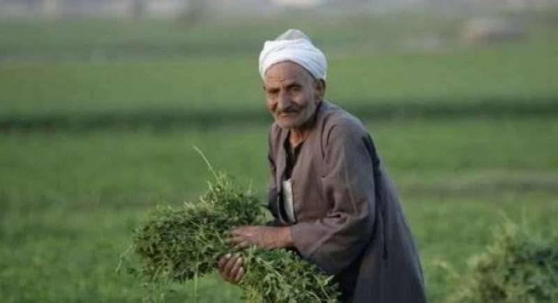الحكومة تهنئ مزارعي مصر بـ«عيد الفلاح»: نقدر جهدكم جهدكم في دعم الاقتصاد