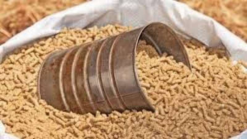 صعود الردة.. أسعار الأعلاف وخاماتها في الأسواق اليوم الأحد 10 - 9- 2023
