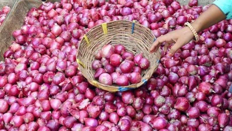«التجارة»: حظر تصدير البصل يدخل حيز النفاذ أول أكتوبر
