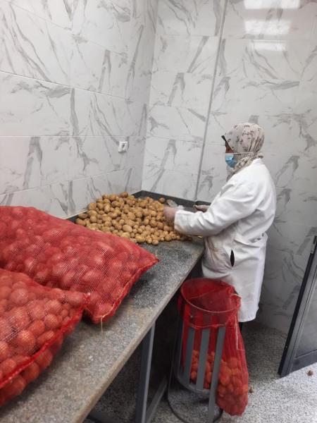 ”الزراعة” تعلن عدد من الاجراءات الوقائية الهامة لمكافحة العفن البني في البطاطس