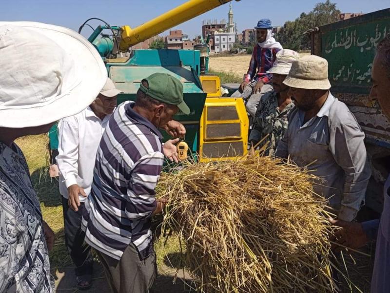 «زراعة الشرقية» تنظم يوم حصاد لمحصول الأرز صنف سوبر 300