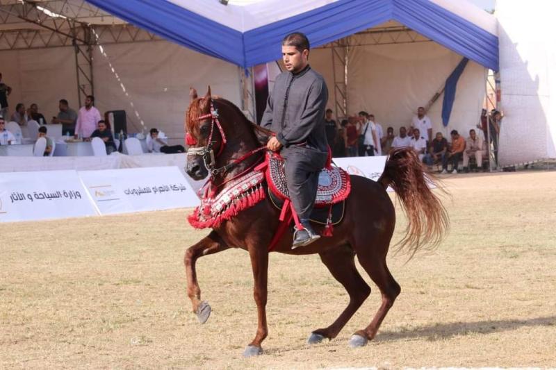 الفائزون بختام مهرجان الشرقية للخيول العربية
