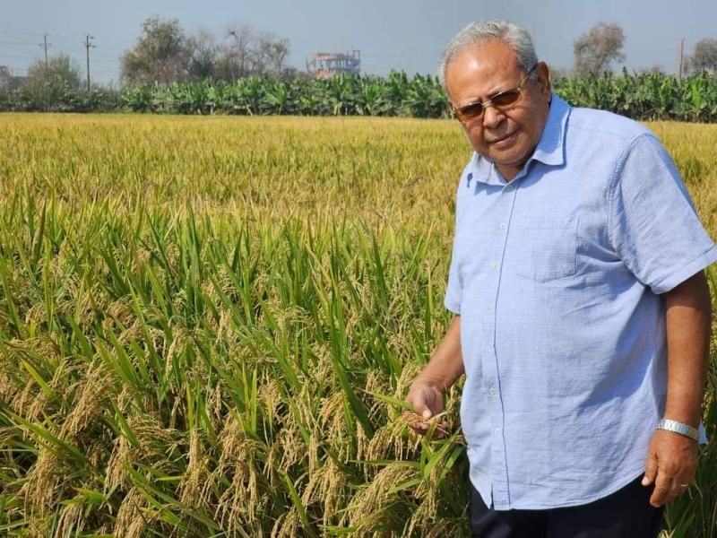 مخترع أرز عرابي المقاوم للجفاف يدعو المزارعين لزيارة حقوله للتأكد من جودتة وكفائة المحصول