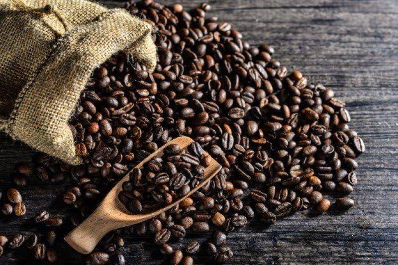 تعرف على أنواع القهوة المصنوعة من روث الحيوانات