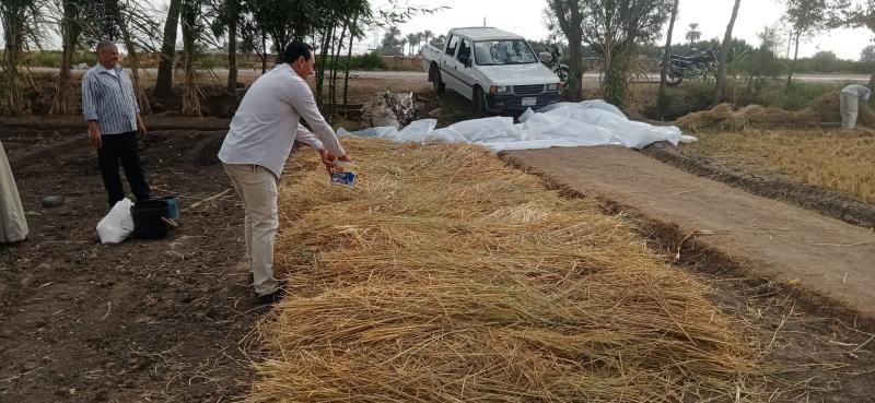 الزراعة: منظومة تدوير قش الأرز نجحت في جمع مليون و703 ألف طن