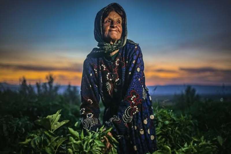 «الأرض» تعايد المرأة الريفية في يومها العالمي