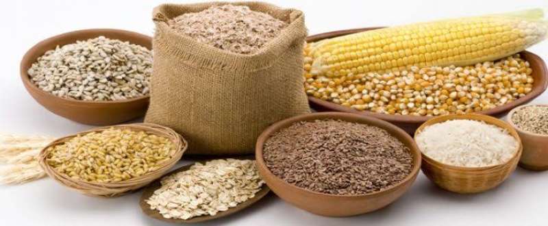 ارتفاع أسعار الخامات والأعلاف اليوم الاثنين 16 - 10 - 2023