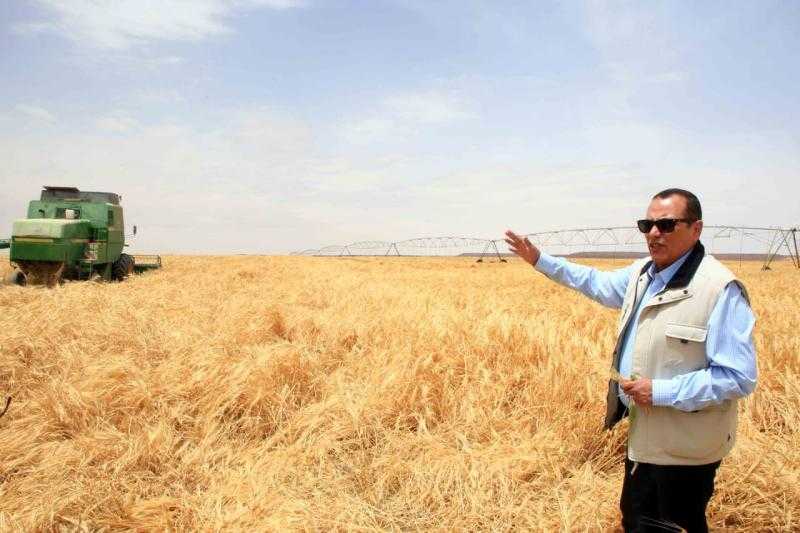 ”الريف المصرى الجديد” تطلق مبادرة لتشجيع زراعة المحاصيل الشتوية بأراضى ال ١.٥ مليون فدان