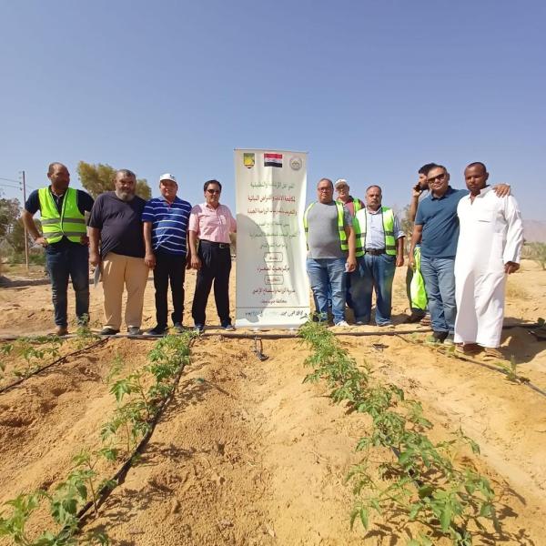 «الزراعة»: بحوث الصحراء ينظم قافلة تنموية لدعم مزارعي نويبع بجنوب سيناء