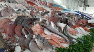 «تنمية البحيرات» تضع خطة لمواجهة ارتفاع أسعار الأسماك.. تفاصيل