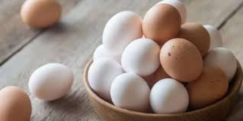 تراجع سعر كرتونة البيض اليوم الإثنين 20 - 11 - 2023