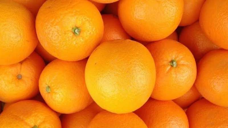 ننشر تعليمات الحجر الزراعي بشأن بدء موسم تصدير البرتقال