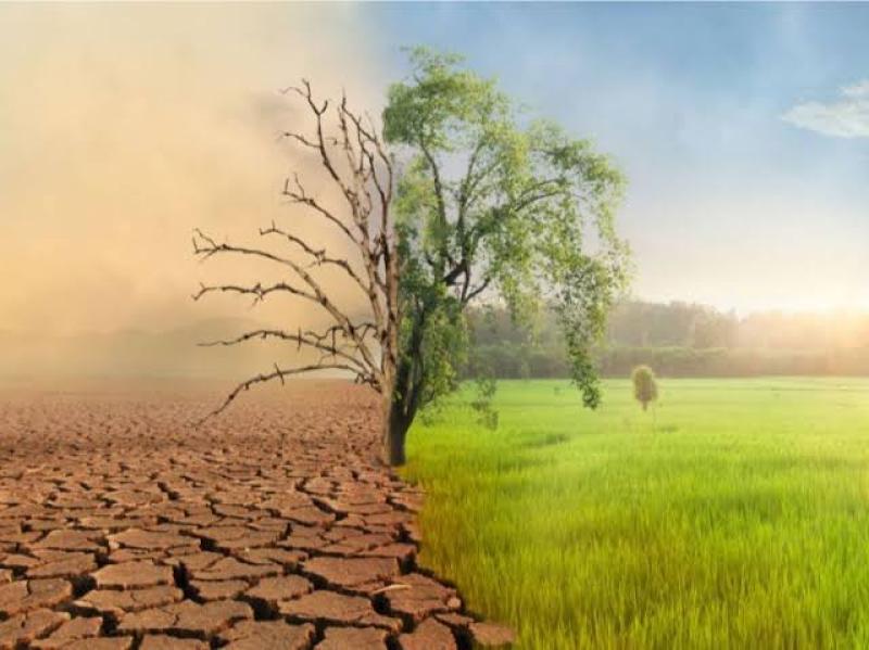 تأثير الصقيع وتغييرات المناخ على المحاصيل الشتوية وطرق مواجهتها