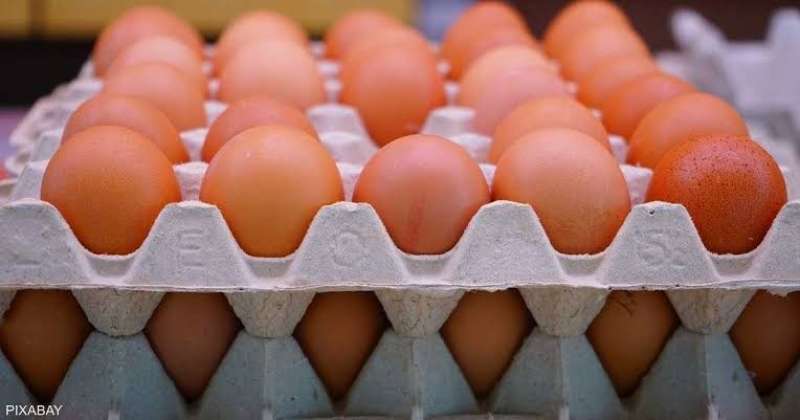 استقرار سعر كرتونة البيض في البورصة والمزارع اليوم الأحد 10 - 12 - 2023