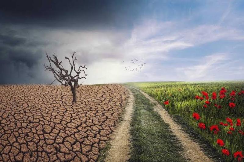 تأثير الانبعاثات وتغير المناخ على الزراعة