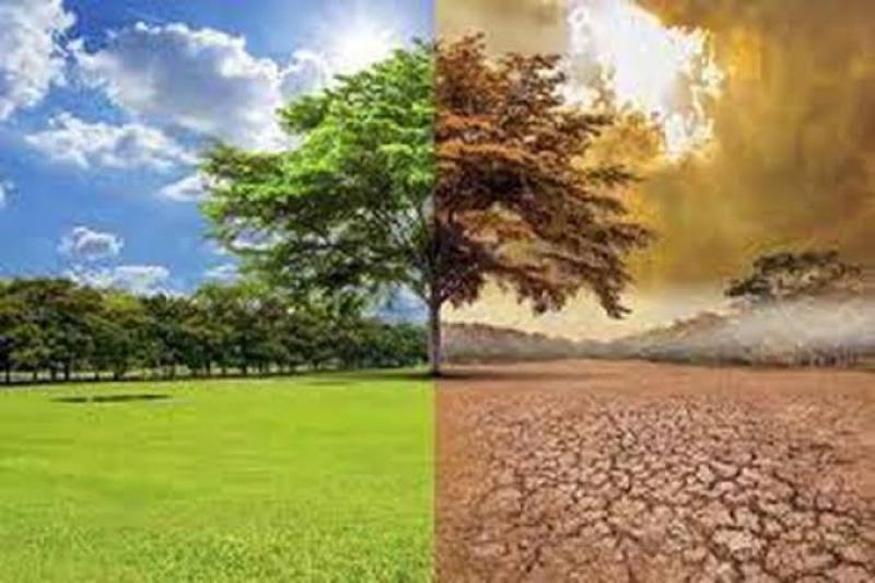تأثير تغيرات المناخ على المحاصيل