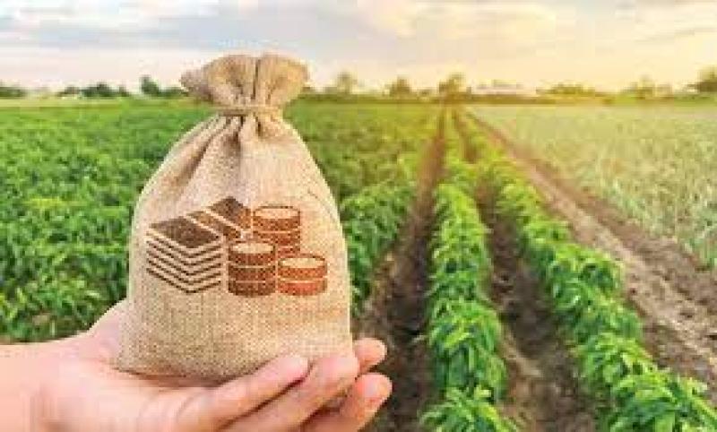 بحوث التمويل والتعاون الزراعي : قروض ميسرة لرفع الكفاءة الإنتاجية للمحاصيل الزراعية