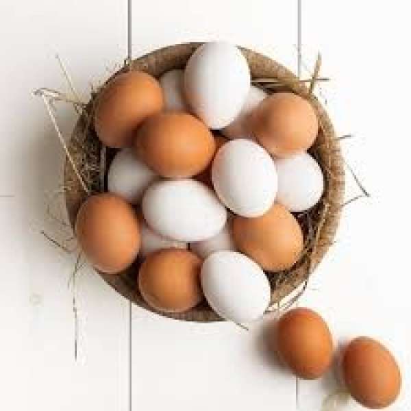 سعر طبق البيض اليوم الخميس 21 - 12 - 2023