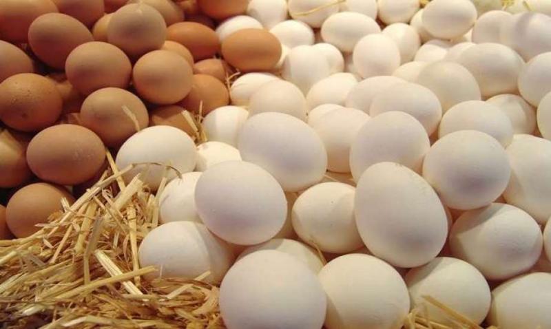 أسعار كرتونة البيض اليوم الخميس 28 - 12 - 2023