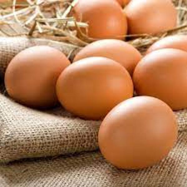 استقرار سعر طبق البيض اليوم السبت   30-  12 - 2023