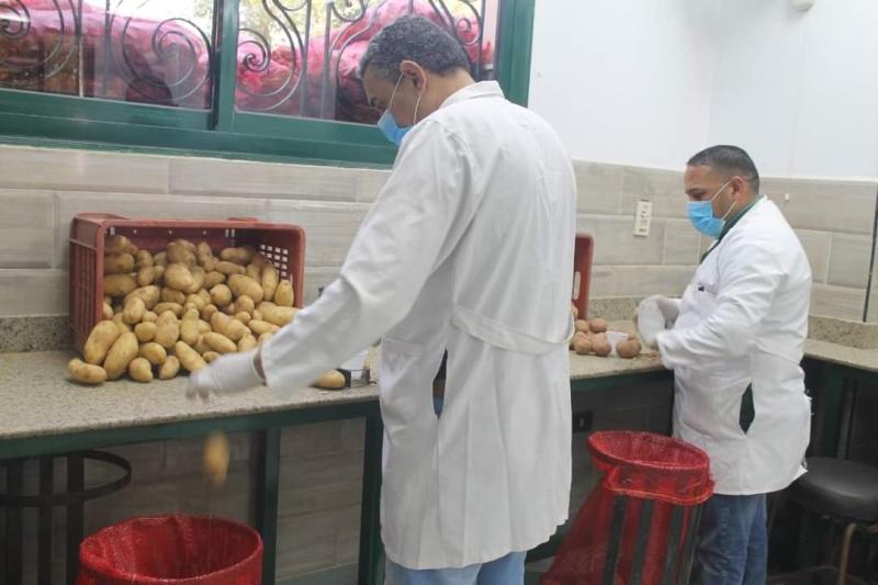 «الزراعة»: فحص 86 ألف طن بطاطس ضمن مكافحة العفن البني خلال دبسمبر