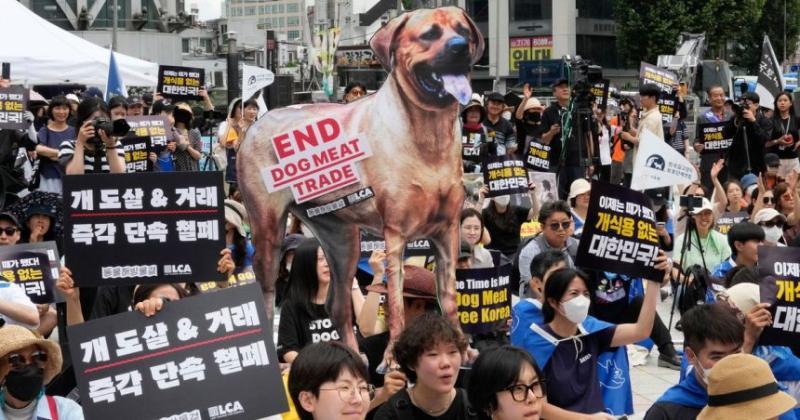 حظر تجارة لحوم الكلاب في كوريا الجنوبية