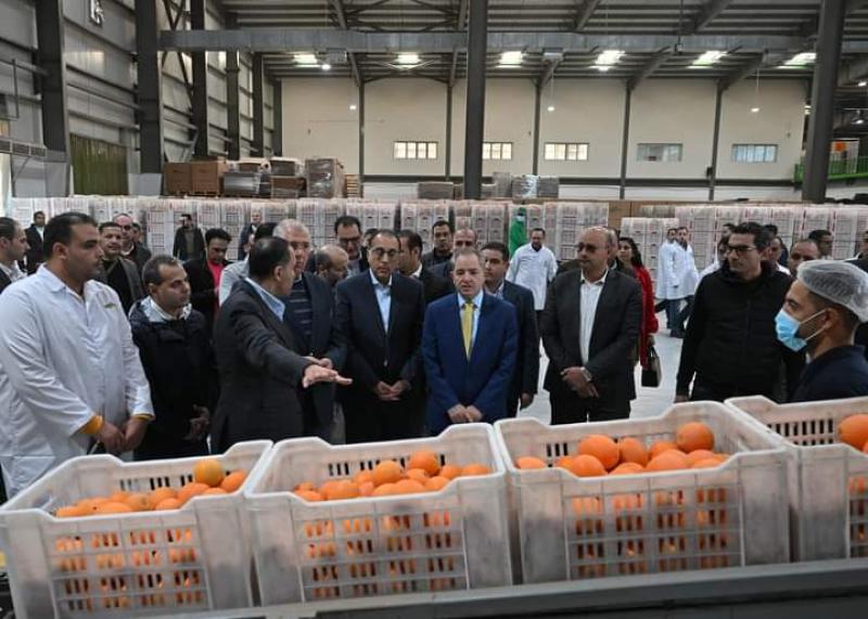 رئيس الوزراء يتفقد محطة شركة ”جامكو” لتعبئة البرتقال واليوسفي بالنوبارية