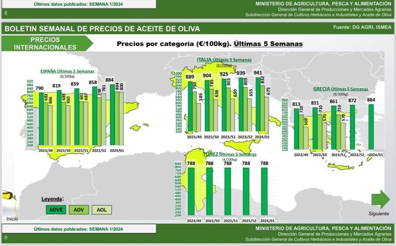 توقعات باستمرار أزمة إنتاج الزيتون وزيته في أسبانيا وإيطاليا واليونان خلال 2024