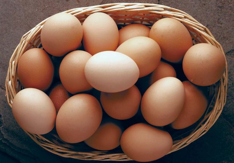 ثبات سعر طبق البيض فى المزارع والمحلات اليوم الثلاثاء 30 - 1 - 2024