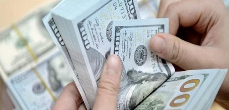 الفيومي: تقليل فاتورة الاستيراد لتوفير الدولار ضرورة لا غنى عنها