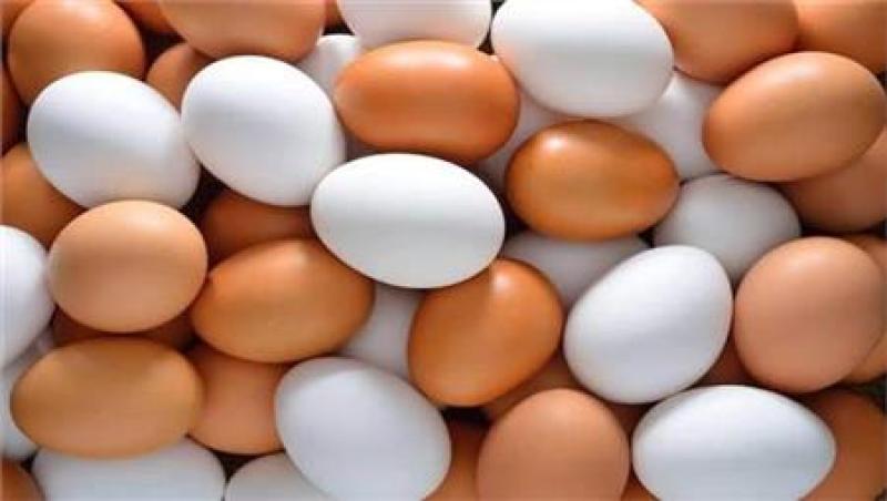 استقرار سعر طبق البيض فى المزارع والمحلات اليوم الخميس 8 - 2 - 2024