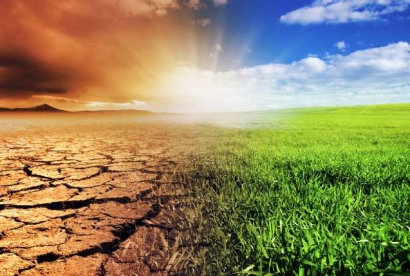 «مناخ الزراعة» يوجه رسائل مهمة للمزارعين مع تغيرات الطقس في أمشير
