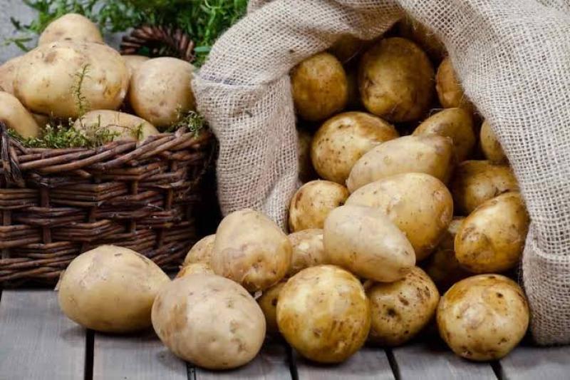 سلامة الغذاء: البطاطس والموالح يتصدران قائمة الصادرات الزراعية المصرية