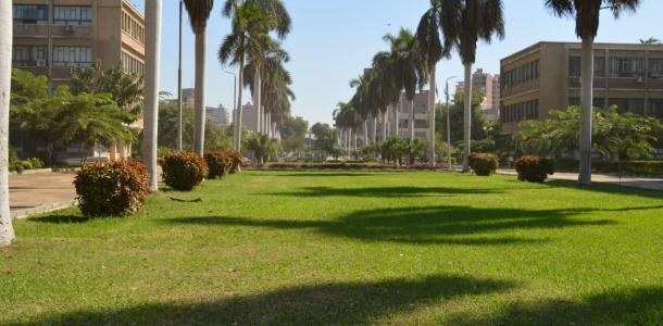 جامعة عين شمس تنظم مؤتمراً عن التنمية المستدامة للحياة البرية
