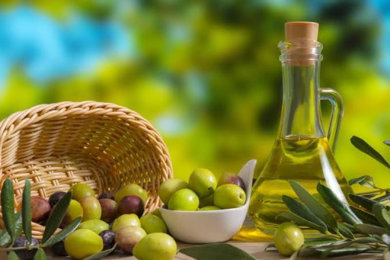 ارتفاع مؤشر زراعة أشجار الزيتون في مصر لاستخراج الزيت