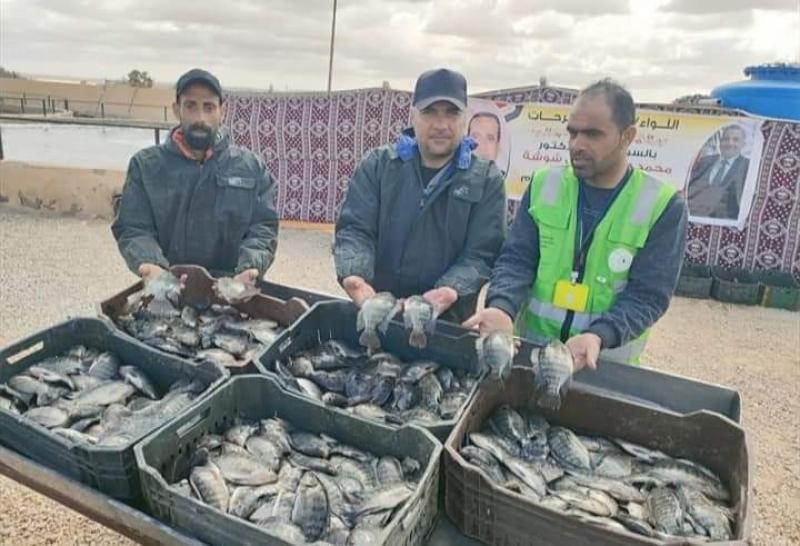 افتتاح الصيد بمزرعة أم شيحان السمكية بـ شمال سيناء
