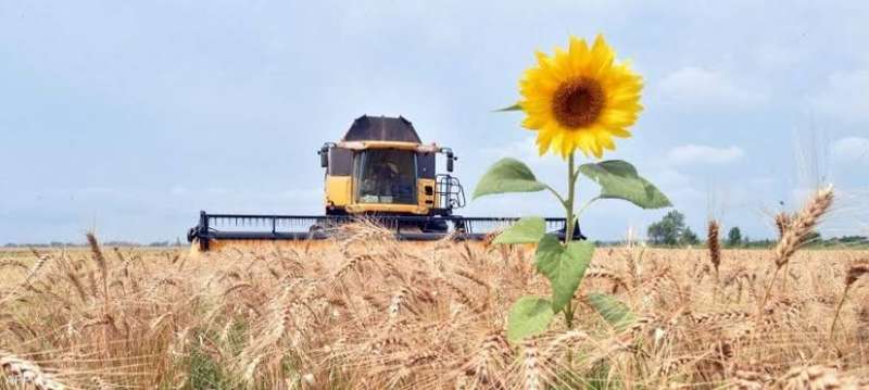 أوكرانيا تبدأ زراعة محاصيل الربيع