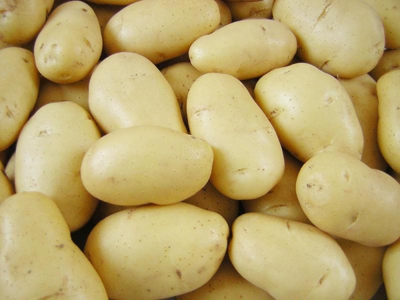 البطاطس المصدرة إلى لبنان