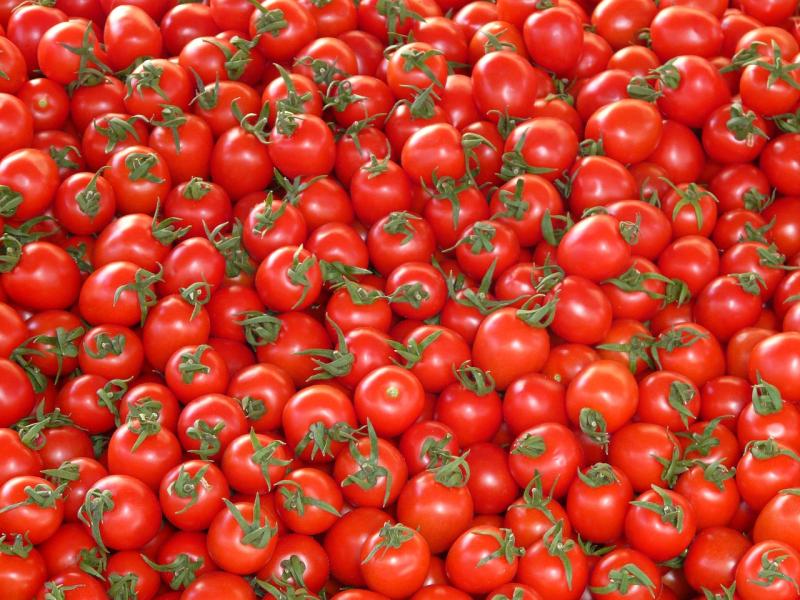 أسرار لا تعرفها عن الطماطم.. أكبر المنتجين والمصدرين والمستوردين بالعالم