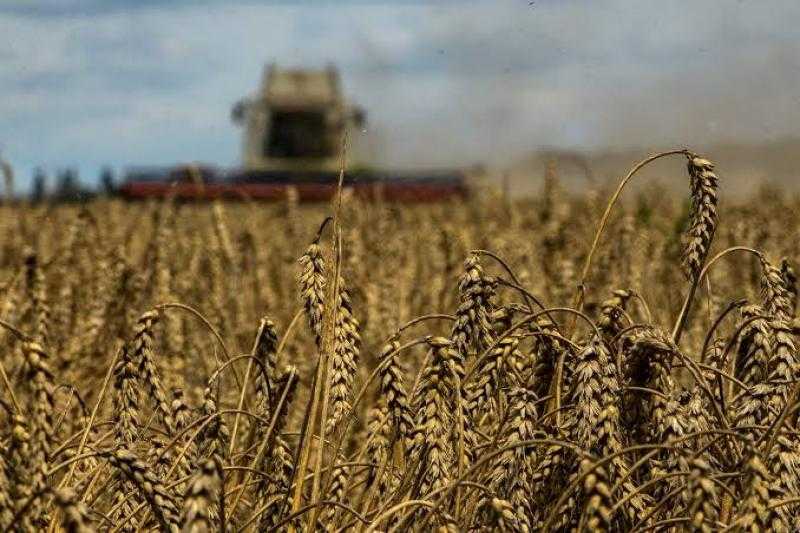 بيان عاجل من وزارة الزراعة الأوكرانية بشأن المحاصيل الشتوية
