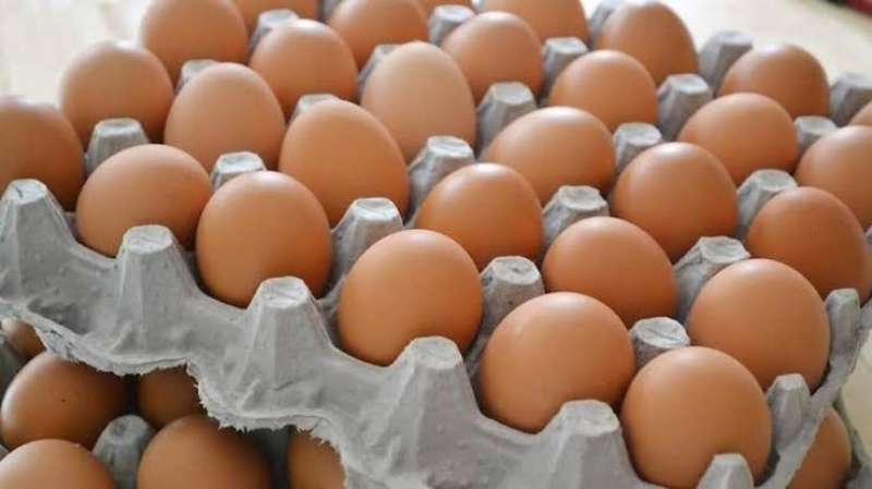 سعر كرتونة البيض فى المزارع والمحلات اليوم الإثنين 25- 3 - 2024