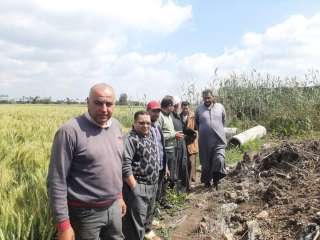 زراعة الدقهلية تنفذ مدرسة حقلية لتوعية المزارعين بالتوصيات الفنية لمحصول القمح